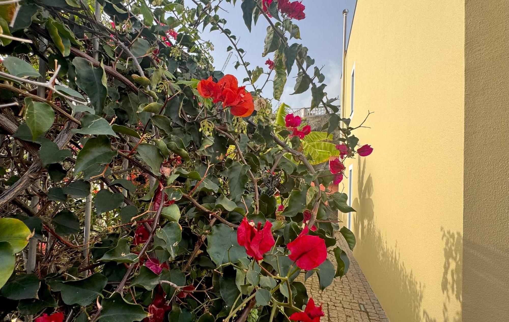Сasa de vacaciones Casa Dos Arrifes *